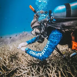 Dpm Diving & Bar Inn